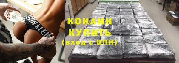 сатива Дмитриев