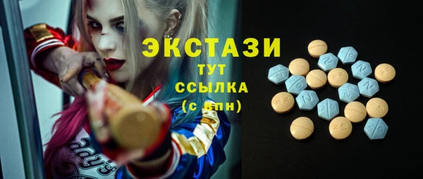 дмт Ельня