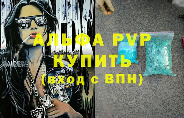 сатива Дмитриев