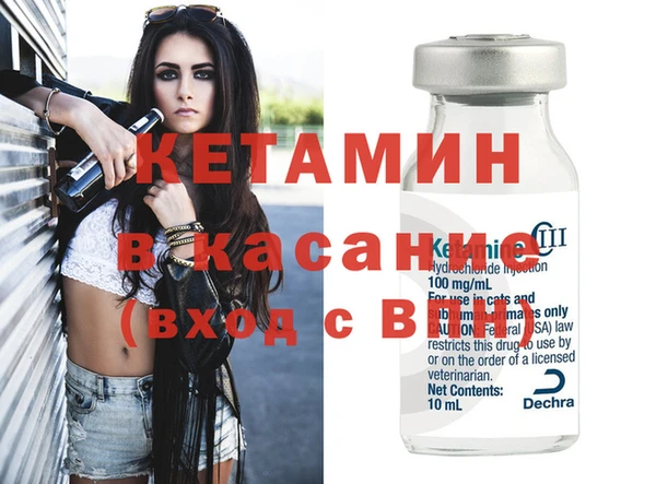 сатива Дмитриев