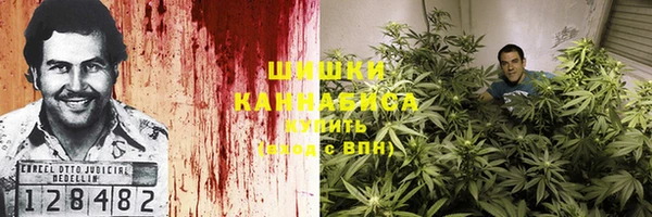 сатива Дмитриев