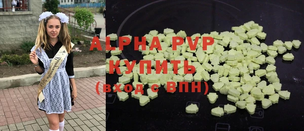 сатива Дмитриев