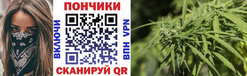 Конопля OG Kush  закладка  Весьегонск 
